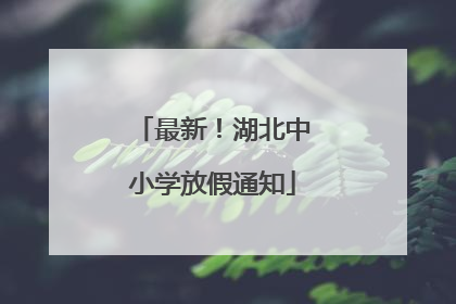 最新！湖北中小学放假通知
