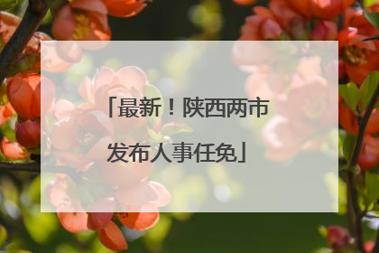最新！陕西两市发布人事任免