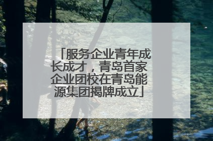 服务企业青年成长成才，青岛首家企业团校在青岛能源集团揭牌成立