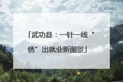 武功县：一针一线“绣”出就业新图景