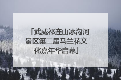 武威祁连山冰沟河景区第二届马兰花文化嘉年华启幕