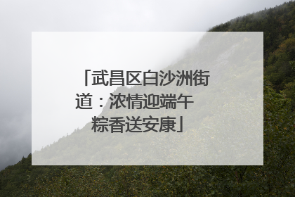 武昌区白沙洲街道：浓情迎端午 粽香送安康