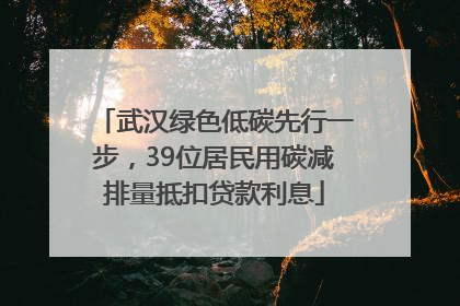 武汉绿色低碳先行一步，39位居民用碳减排量抵扣贷款利息