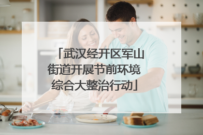 武汉经开区军山街道开展节前环境综合大整治行动