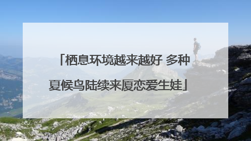 栖息环境越来越好 多种夏候鸟陆续来厦恋爱生娃