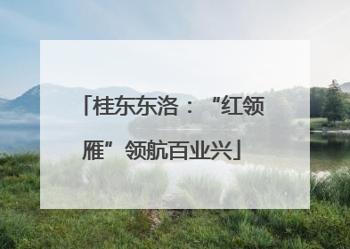 桂东东洛：“红领雁”领航百业兴