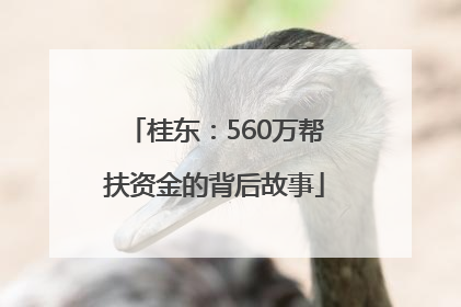 桂东：560万帮扶资金的背后故事