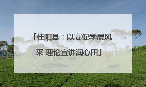 桂阳县：以赛促学展风采 理论宣讲润心田