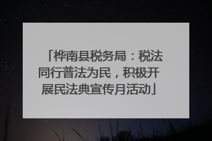 桦南县税务局：税法同行普法为民，积极开展民法典宣传月活动