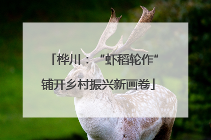 桦川：“虾稻轮作”铺开乡村振兴新画卷