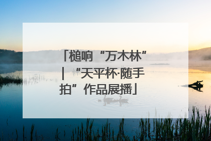槌响“万木林”｜“天平杯·随手拍”作品展播