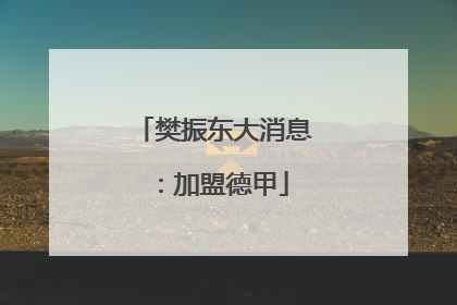 樊振东大消息：加盟德甲