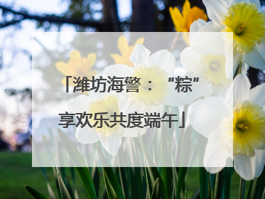 潍坊海警：“粽”享欢乐共度端午