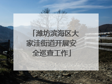 潍坊滨海区大家洼街道开展安全巡查工作