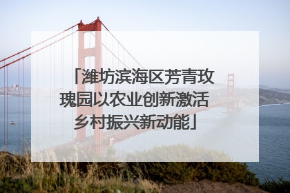 潍坊滨海区芳青玫瑰园以农业创新激活乡村振兴新动能