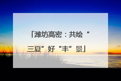 潍坊高密：共绘“三夏”好“丰”景