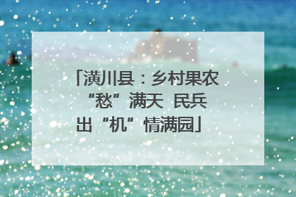潢川县：乡村果农“愁”满天  民兵出“机”情满园