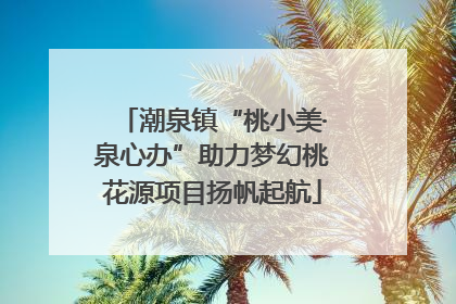 潮泉镇“桃小美·泉心办”助力梦幻桃花源项目扬帆起航