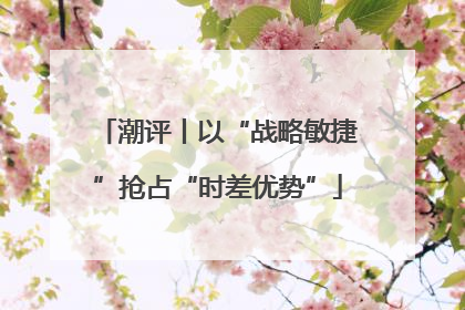潮评丨以“战略敏捷”抢占“时差优势”