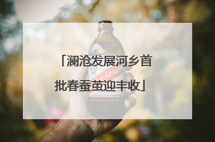 澜沧发展河乡首批春蚕茧迎丰收