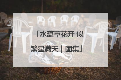 水蕴草花开 似繁星满天｜图集