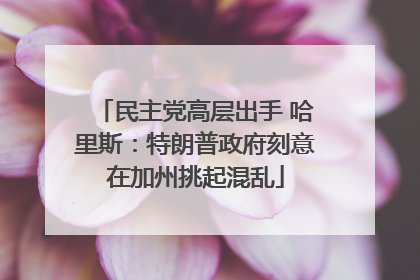 民主党高层出手 哈里斯：特朗普政府刻意在加州挑起混乱
