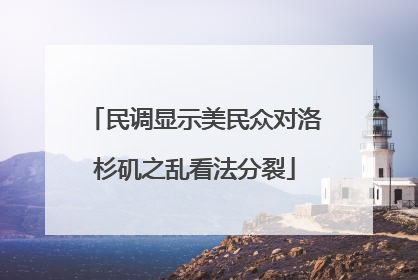 民调显示美民众对洛杉矶之乱看法分裂