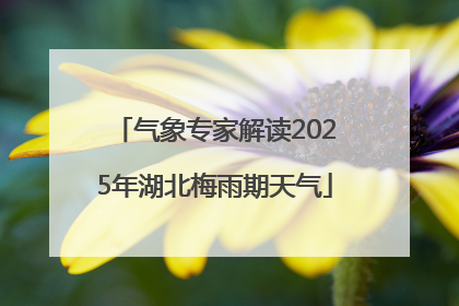 气象专家解读2025年湖北梅雨期天气