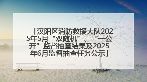 汉阳区消防救援大队2025年5月“双随机”、“一公开”监督抽查结果及2025年6月监督抽查任务公示