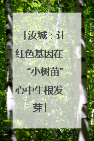 汝城：让红色基因在“小树苗”心中生根发芽