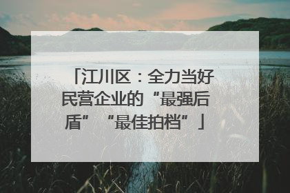 江川区：全力当好民营企业的“最强后盾”“最佳拍档”