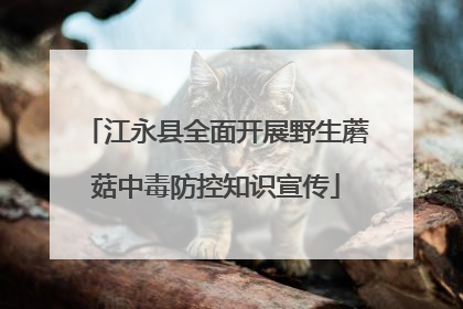 江永县全面开展野生蘑菇中毒防控知识宣传