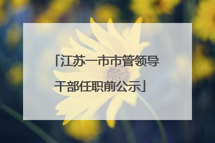 江苏一市市管领导干部任职前公示