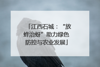 江西石城：“放蜂治蚜”助力绿色防控与农业发展