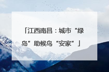 江西南昌：城市“绿岛”助候鸟“安家”