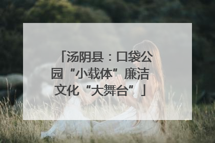 汤阴县：口袋公园“小载体”廉洁文化“大舞台”