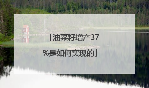 油菜籽增产37%是如何实现的