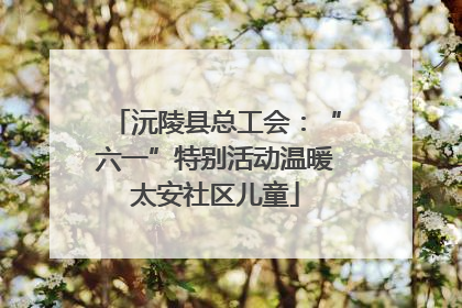 沅陵县总工会：“六一”特别活动温暖太安社区儿童