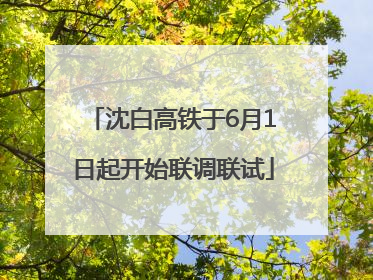 沈白高铁于6月1日起开始联调联试