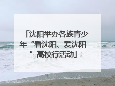 沈阳举办各族青少年“看沈阳、爱沈阳”高校行活动