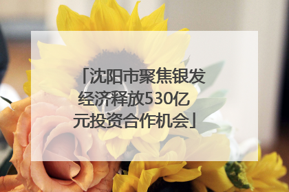 沈阳市聚焦银发经济释放530亿元投资合作机会