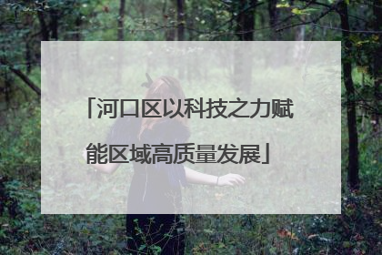 河口区以科技之力赋能区域高质量发展