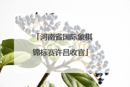 河南省国际象棋锦标赛许昌收官