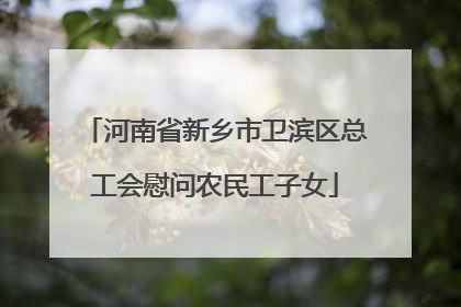 河南省新乡市卫滨区总工会慰问农民工子女
