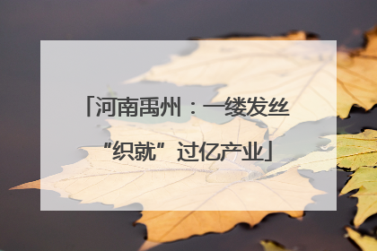 河南禹州：一缕发丝“织就”过亿产业