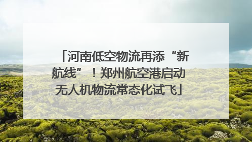 河南低空物流再添“新航线”！郑州航空港启动无人机物流常态化试飞