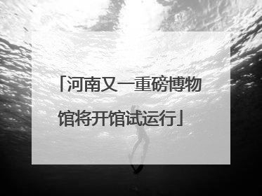河南又一重磅博物馆将开馆试运行