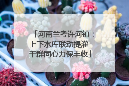 河南兰考许河镇：上下水库联动提灌 干群同心力保丰收