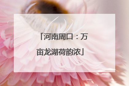 河南周口：万亩龙湖荷韵浓