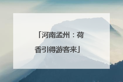 河南孟州：荷香引得游客来